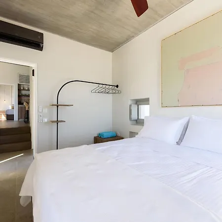 Salvia * クリシ・アクティ